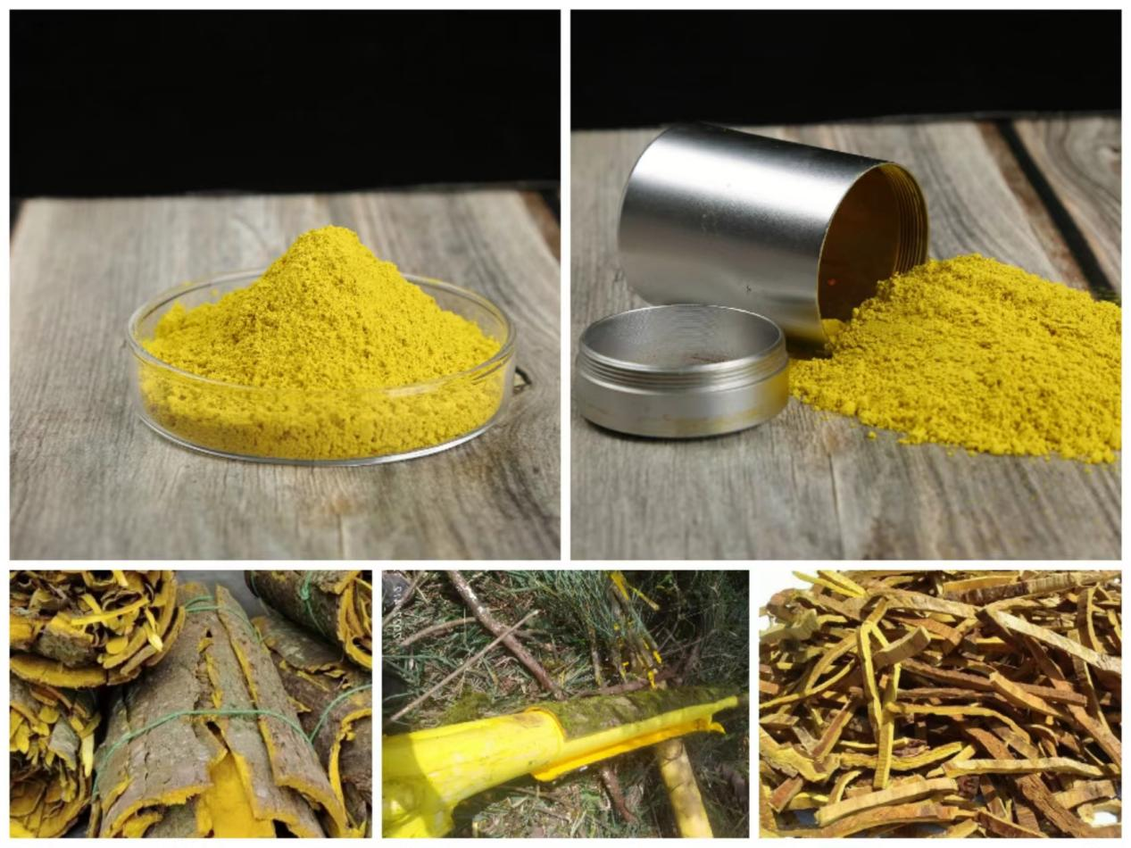 Berberine HCL Powder----shaanxi hongda Berberine HCL Powder----shaanxi hongda